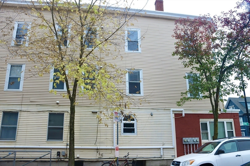 250-252 Western Ave #3, Cambridge, MA Photo #7