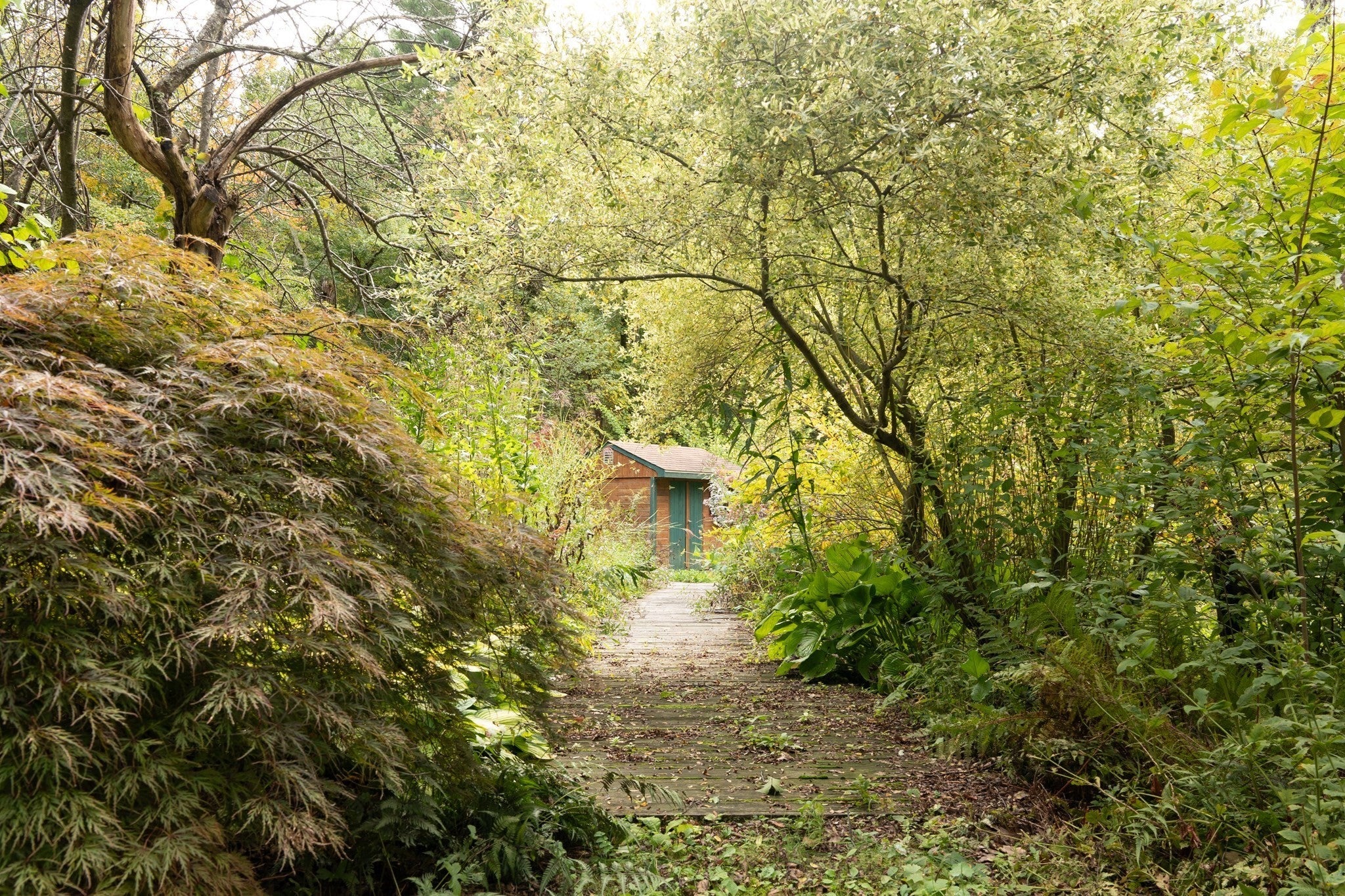 13 Walker Road, Wales, MA, 13 Walker Road, Wales, MA Photo #22