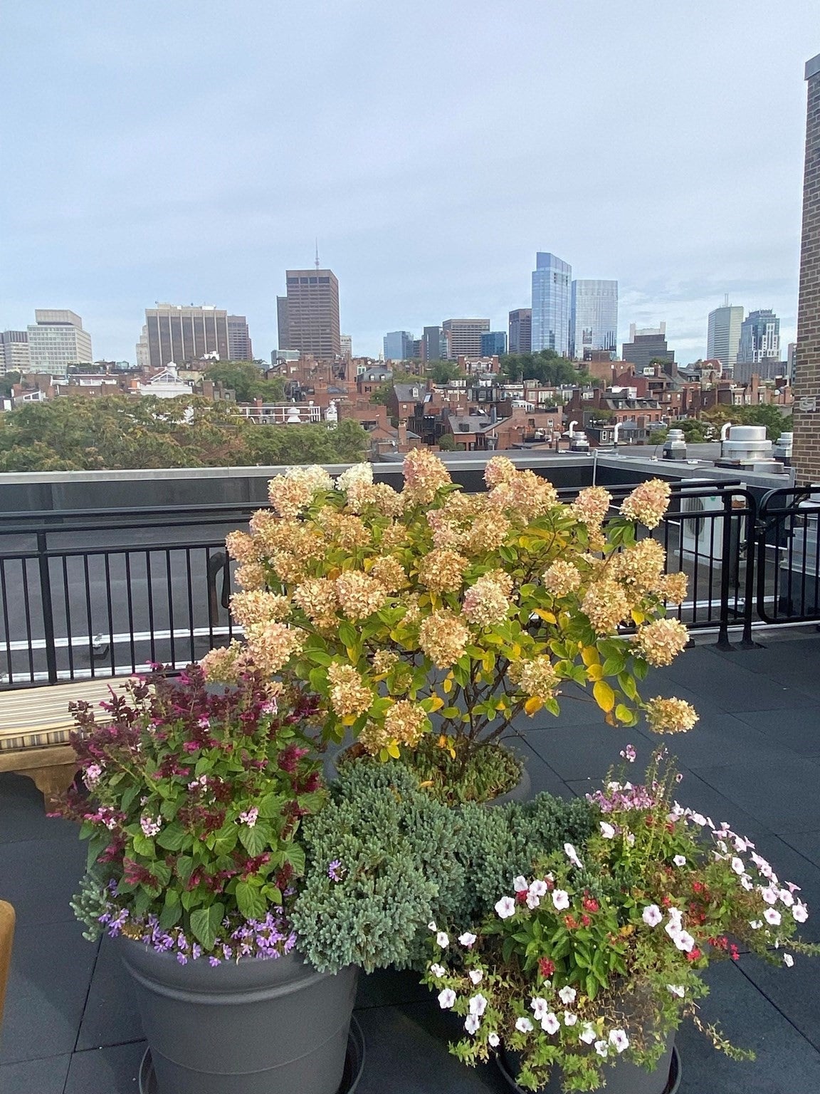 145 Pinckney St #134, Boston, MA, 145 Pinckney St #134, Boston, MA Photo #12