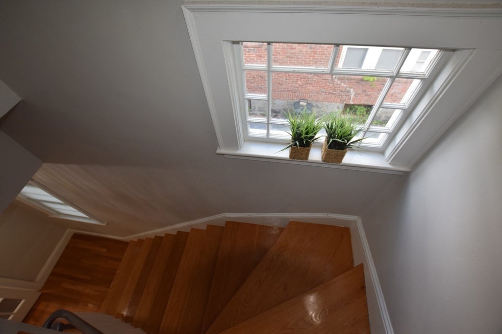 1103 Morton St, Boston, MA Photo #6