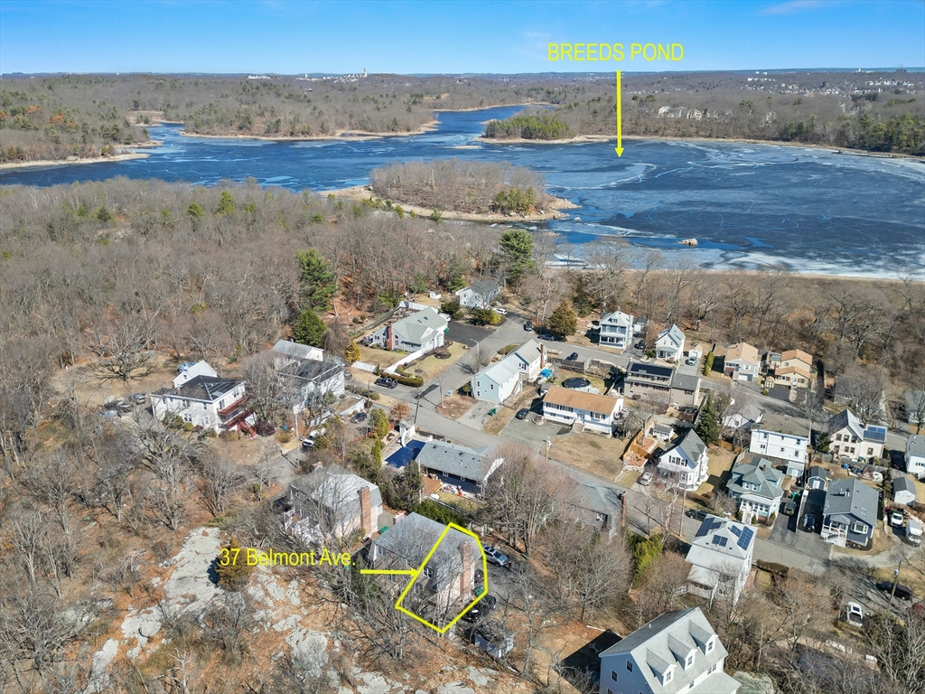 37 Belmont Ave 37