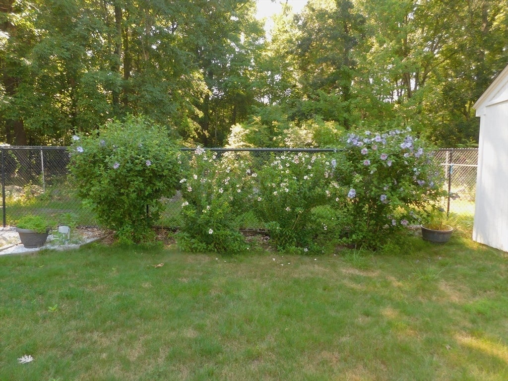 621 Marshall St, Holliston, MA, 621 Marshall St, Holliston, MA Photo #23