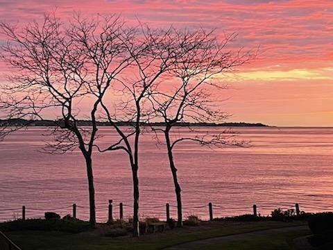 3 Seal Harbor 242