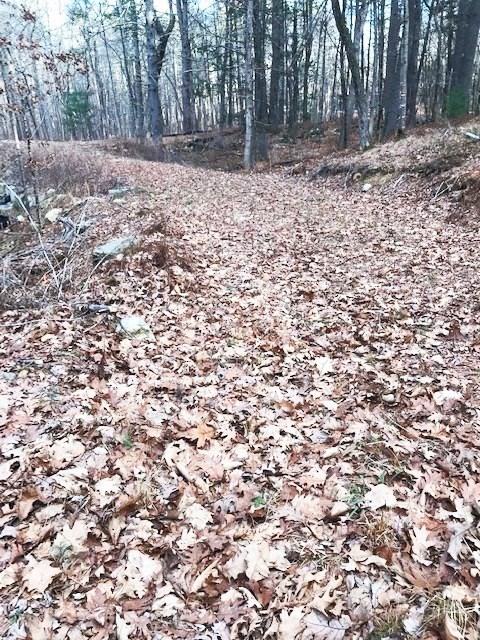 0 Judy Farm Road