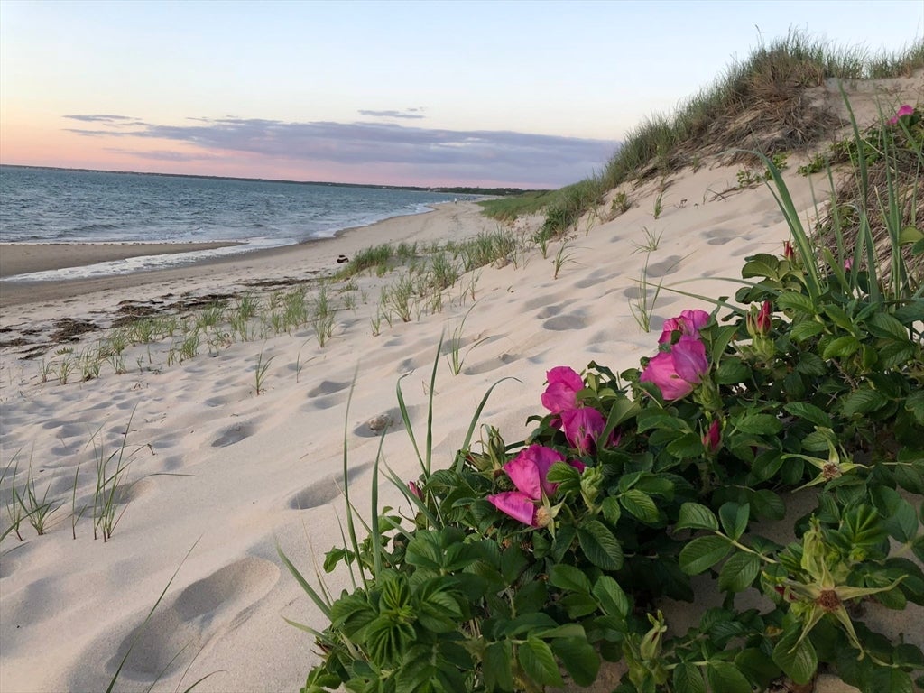 67 Linnell Landing, Brewster, MA Photo #39