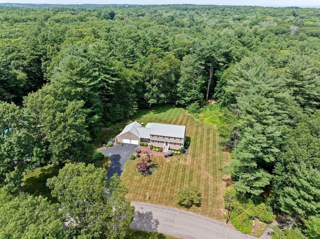 56 Sylvester Rd.
