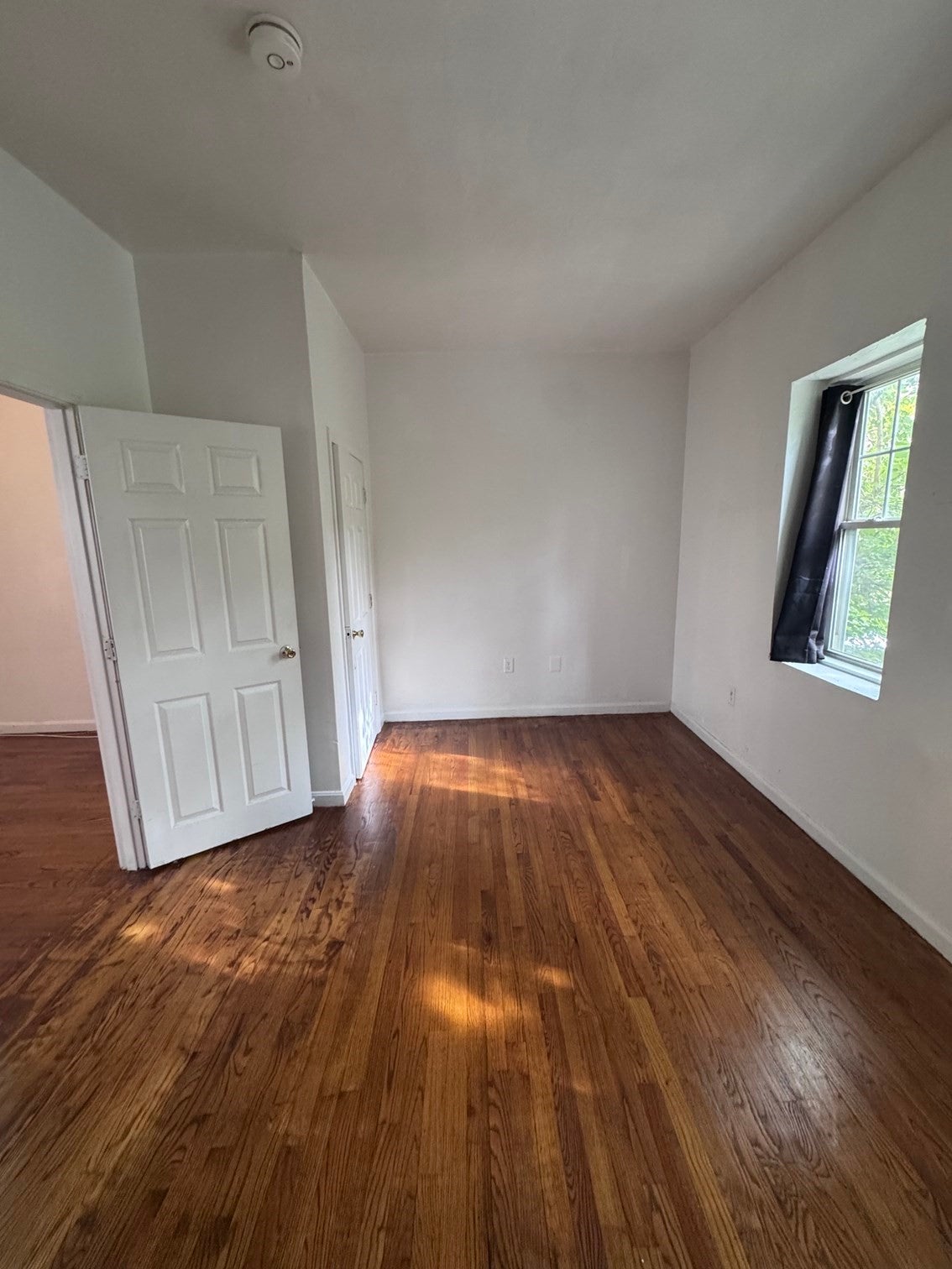 714 Shawmut Avenue #2, Boston, MA, 714 Shawmut Avenue #2, Boston, MA Photo #10