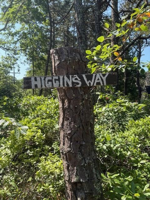 11 Higgins Way