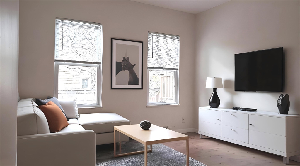 65 Brookline Street 1