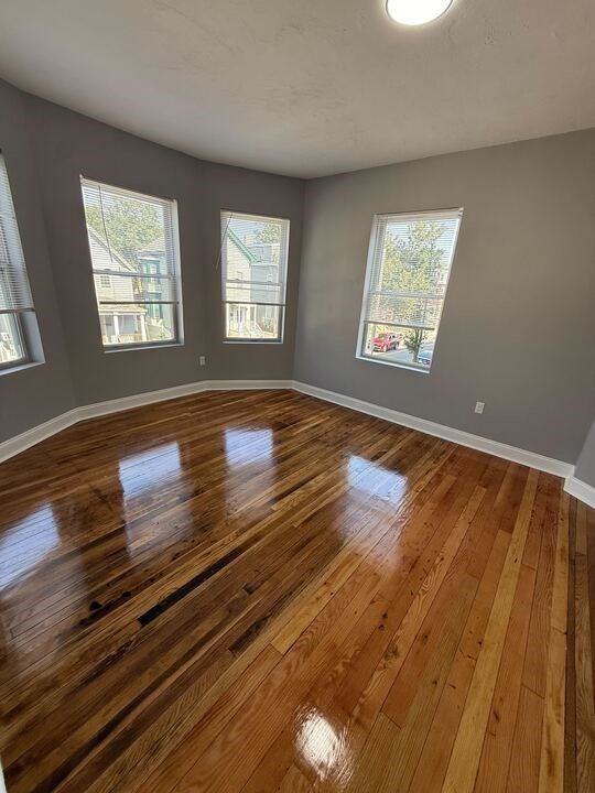 96-98 Blue Hill Avenue #2, Boston, MA, 96-98 Blue Hill Avenue #2, Boston, MA Photo #16