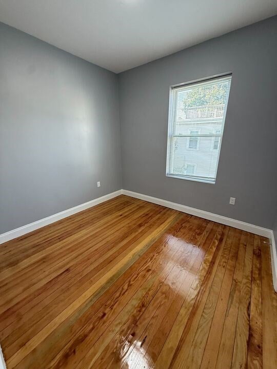 96-98 Blue Hill Avenue #2, Boston, MA, 96-98 Blue Hill Avenue #2, Boston, MA Photo #15