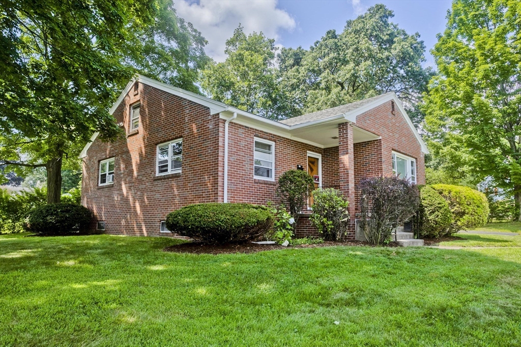 77 Elmore St