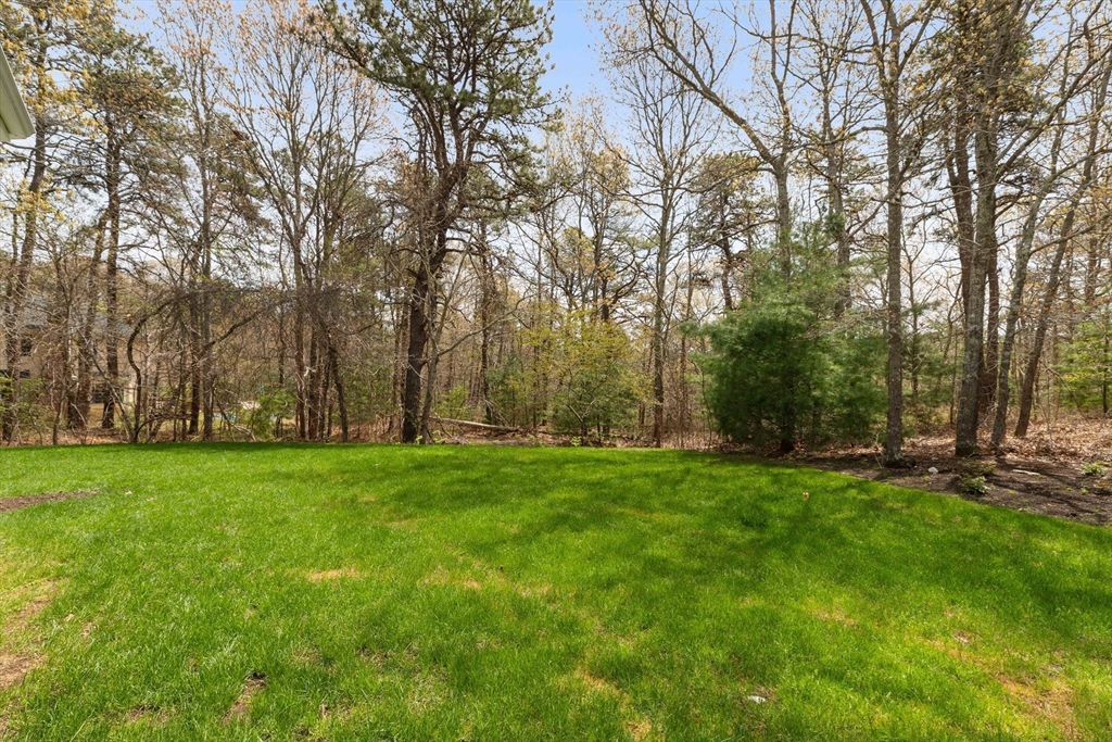 64 Early Red Cir, Plymouth, MA, 64 Early Red Cir, Plymouth, MA Photo #29