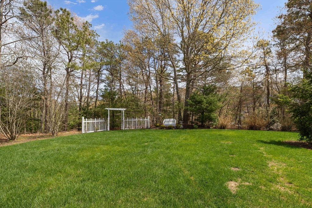 64 Early Red Cir, Plymouth, MA, 64 Early Red Cir, Plymouth, MA Photo #28