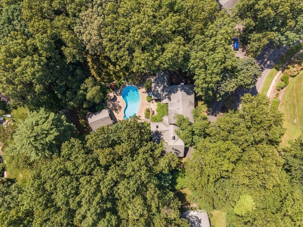 79 Silver Birch Road, Longmeadow, MA Photo #13