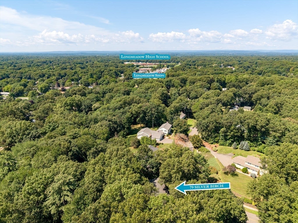 79 Silver Birch Road, Longmeadow, MA Photo #14