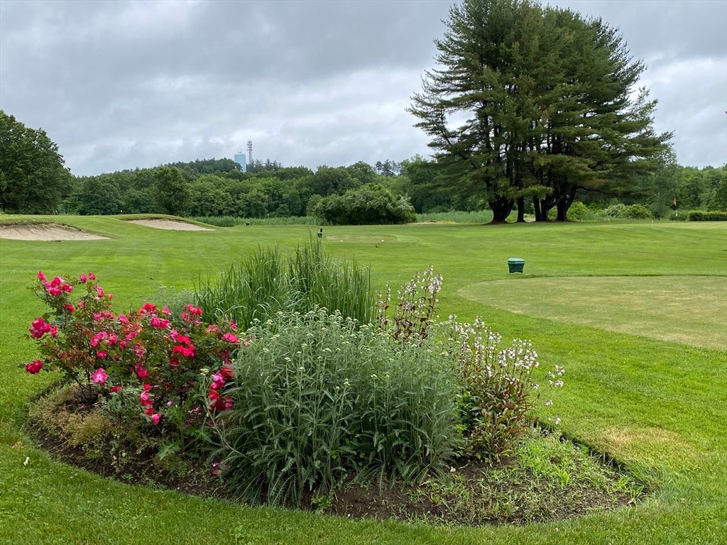 35 Mitchell Grant Way #35, Bedford, MA Photo #38