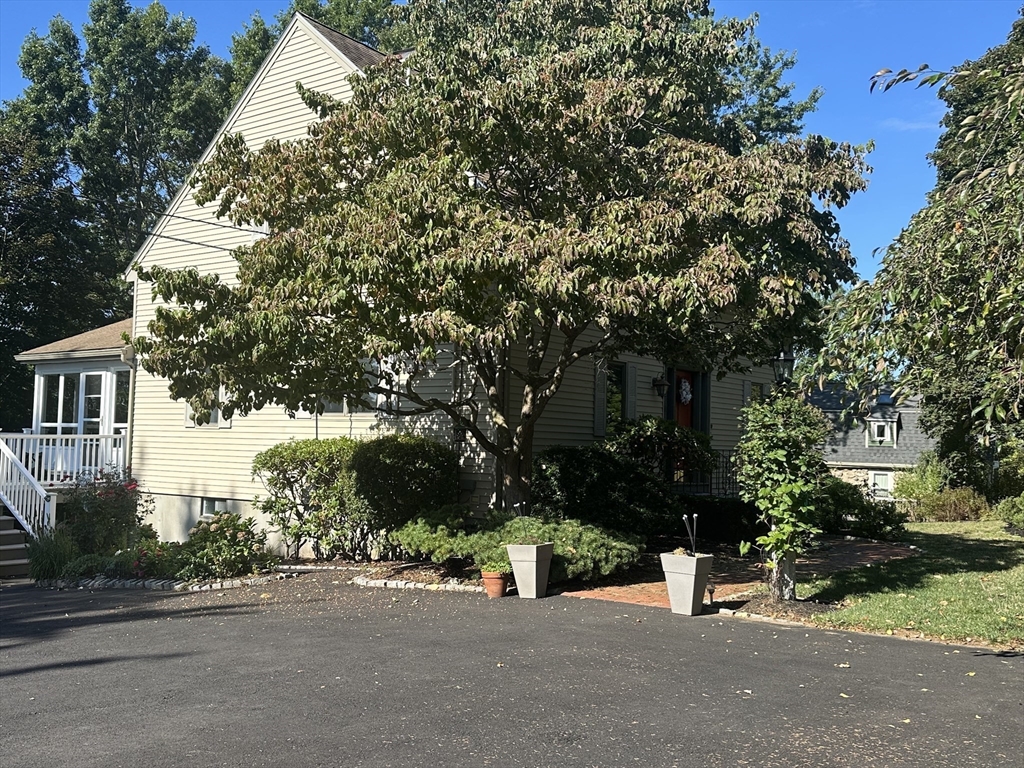 11 Elizabeth Avenue