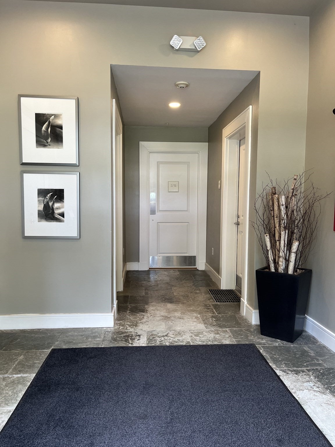 2430 Beacon Street 104