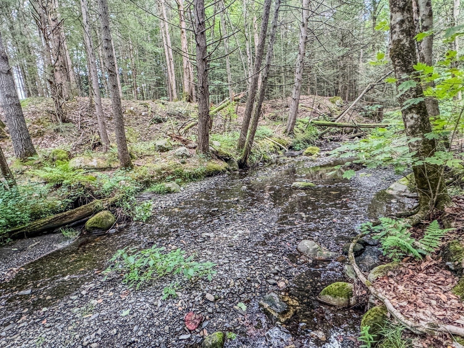 24 Haigis Road, Bernardston, MA Photo #37