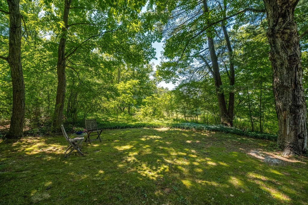 18 Plum Tree Road