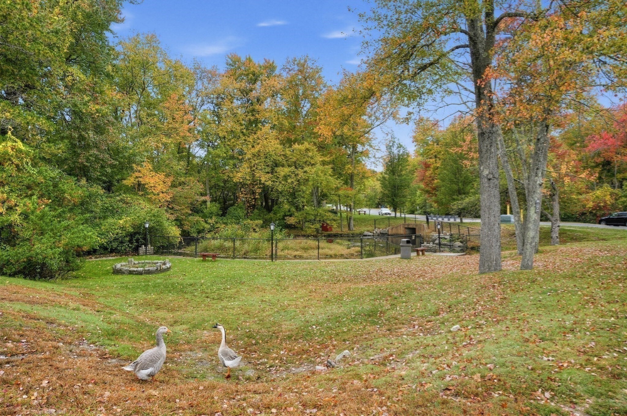 2 Shadowbrook LN #51, Milford, MA, 2 Shadowbrook LN #51, Milford, MA Photo #21