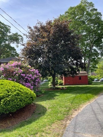 50 Wilson Dr 50