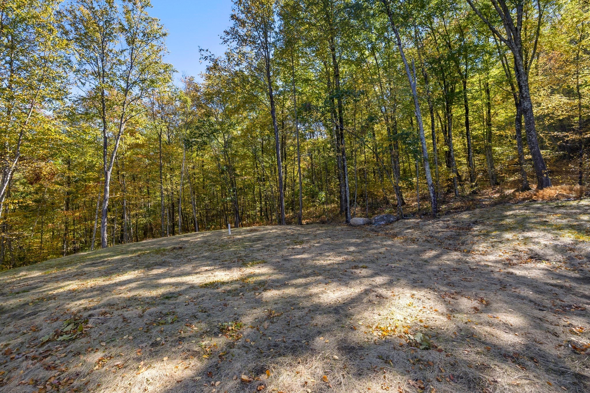 335 Reed Street, Warren, MA, 335 Reed Street, Warren, MA Photo #40