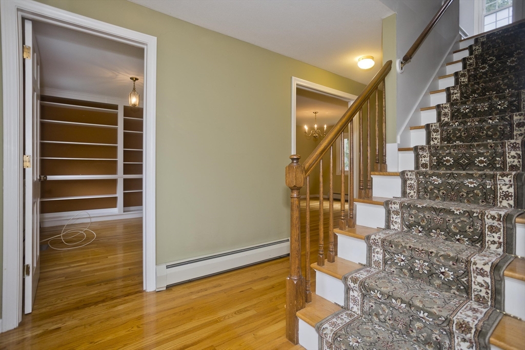 236 Forest Glen