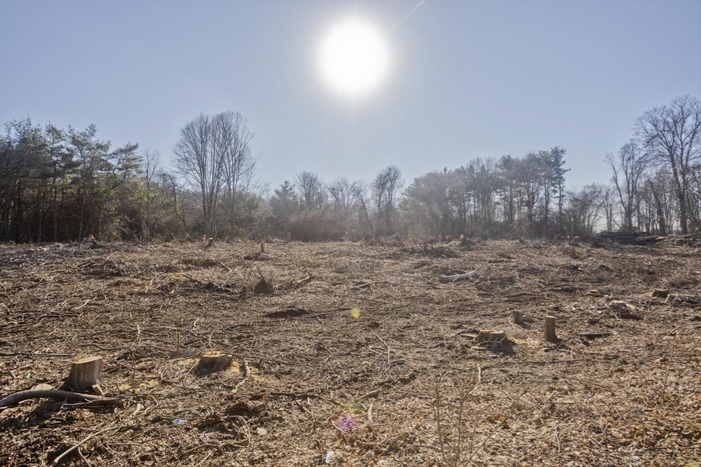 LOT 1 Homestead Avenue