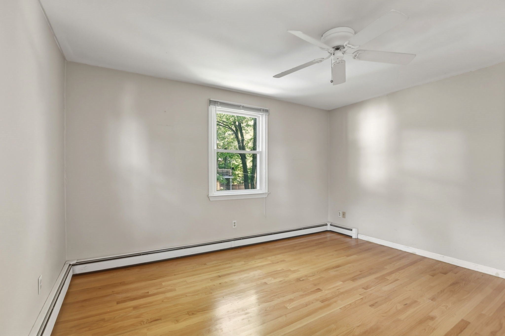 127 Kilsyth Rd #3, Boston, MA, 127 Kilsyth Rd #3, Boston, MA Photo #20