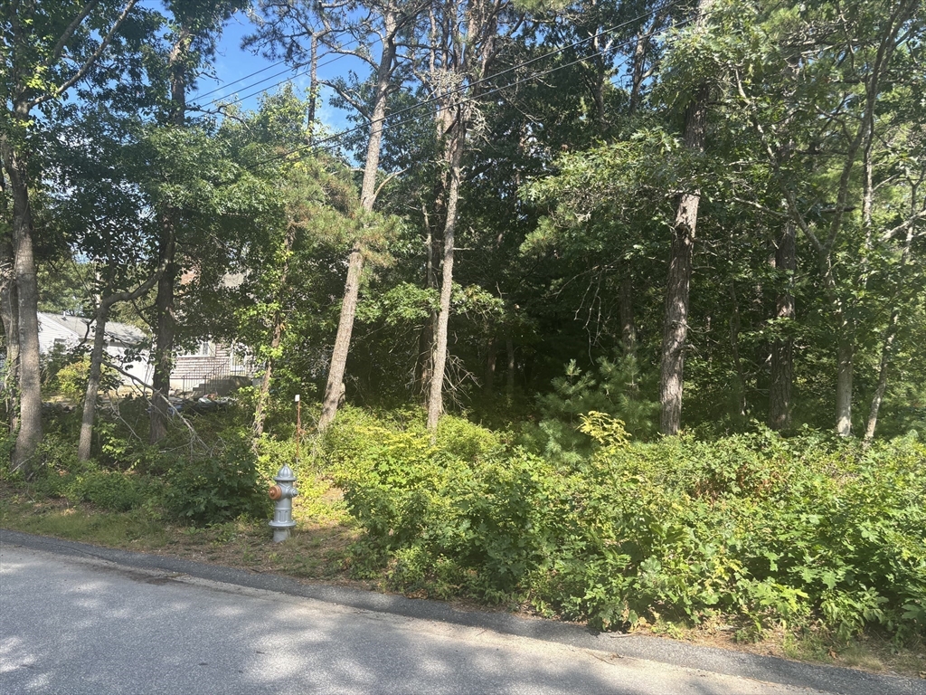 8 Blackbird Ave