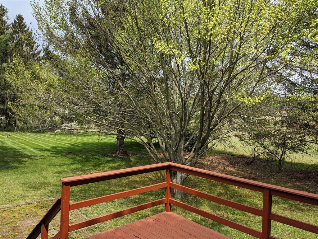 62 Breckenridge Rd