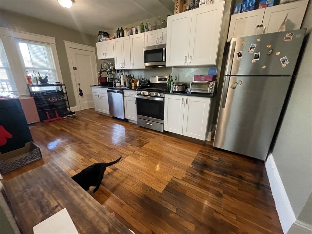 249 Hyde Park Ave 1L