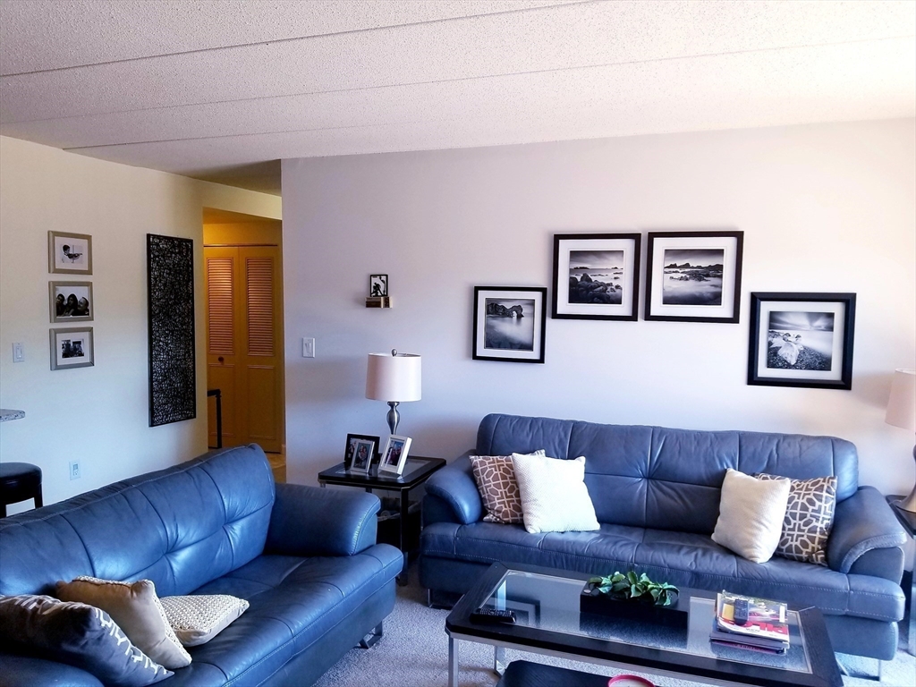 44 Main.Street 308