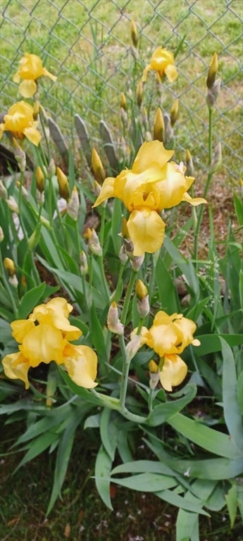 10 Brissette Avenue, Salisbury, MA Photo #39