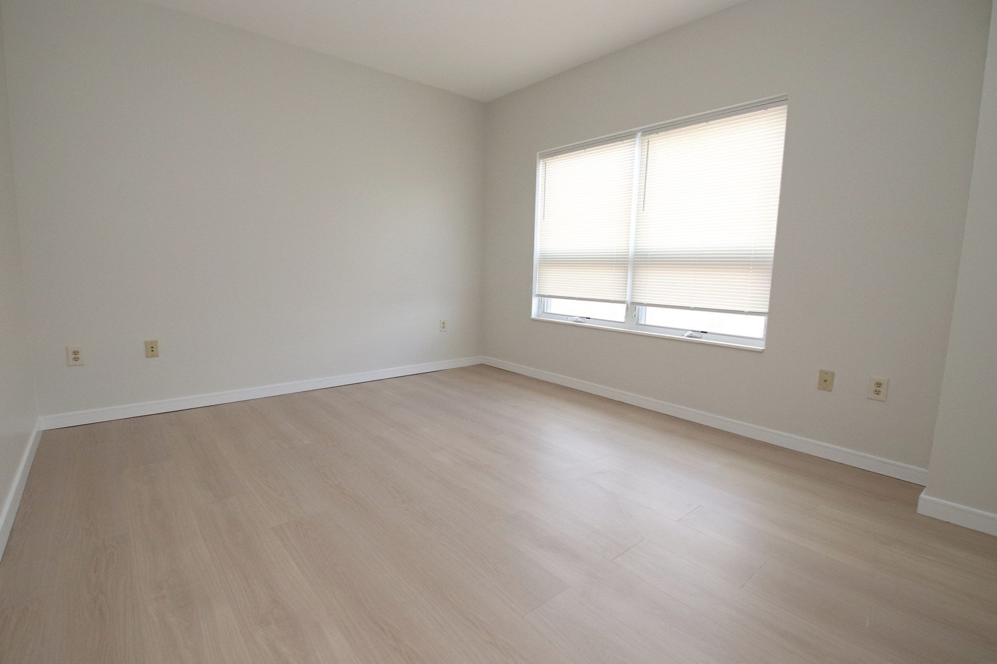 175 Cottage St #702, Chelsea, MA, 175 Cottage St #702, Chelsea, MA Photo #21