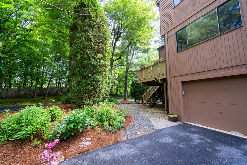 52 Treetop Park 52