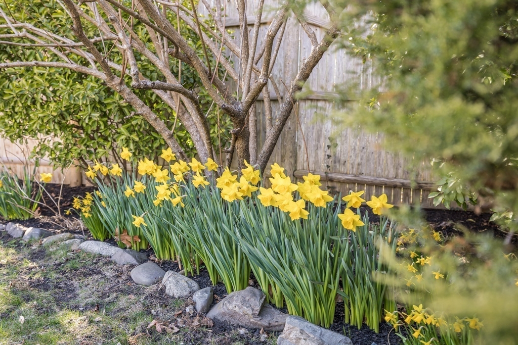 Chatham, Massachusetts 02633, United States, 4 Bedrooms Bedrooms, ,4 BathroomsBathrooms,Residential,Active,107713