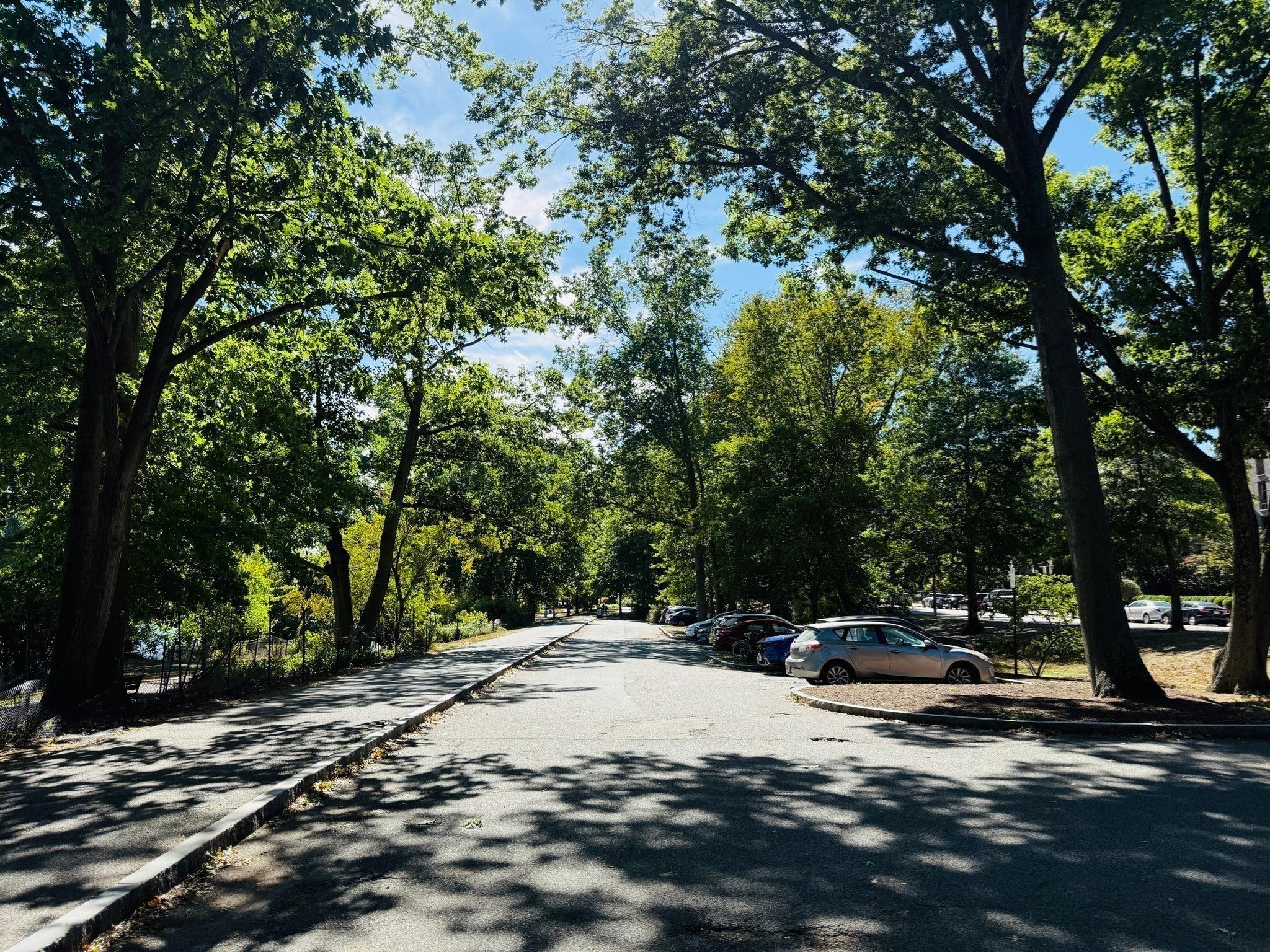 44 Washington ST #502, Brookline, MA, 44 Washington ST #502, Brookline, MA Photo #36