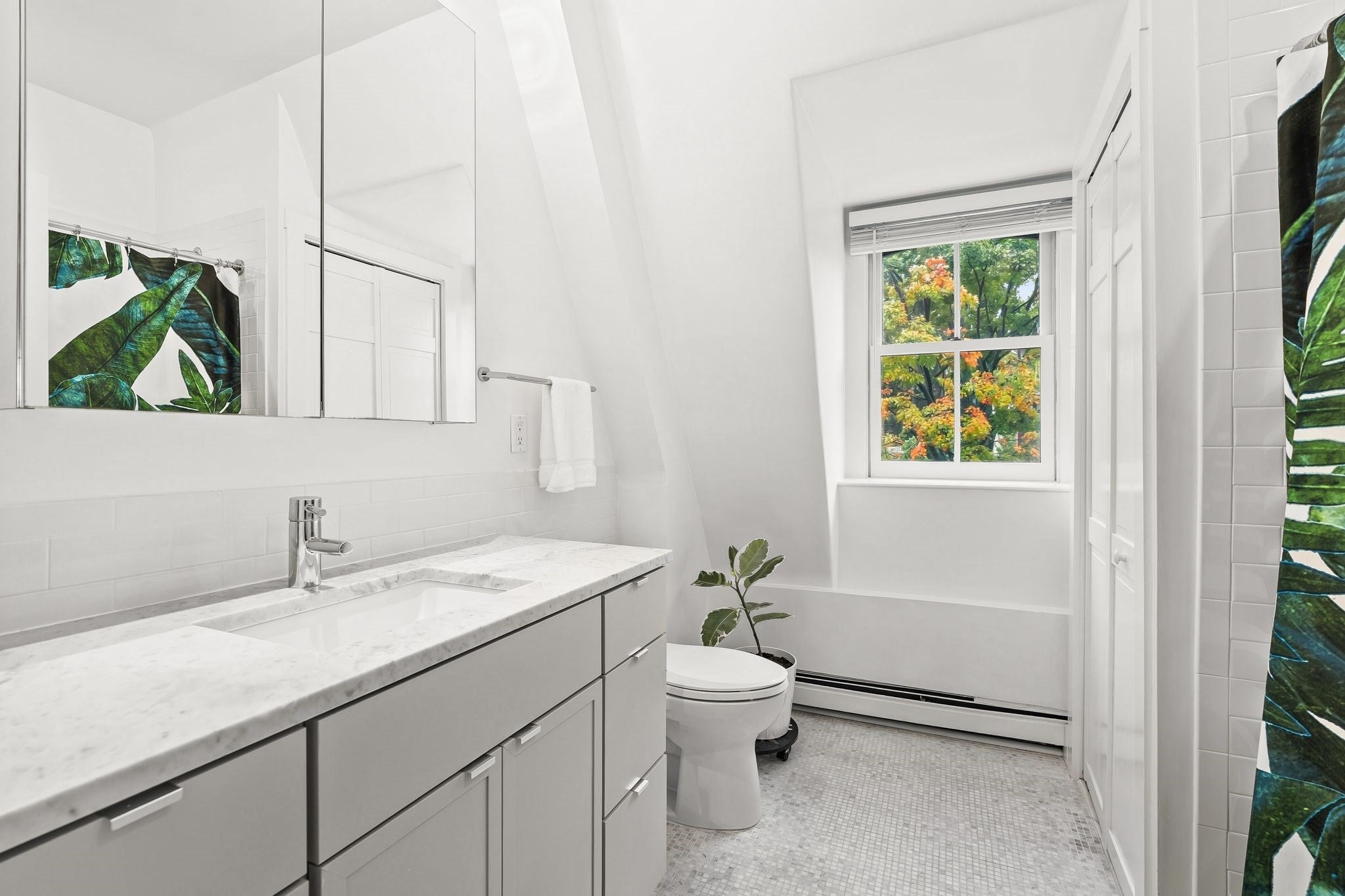 9 Revere Street #3, Boston, MA, 9 Revere Street #3, Boston, MA Photo #19