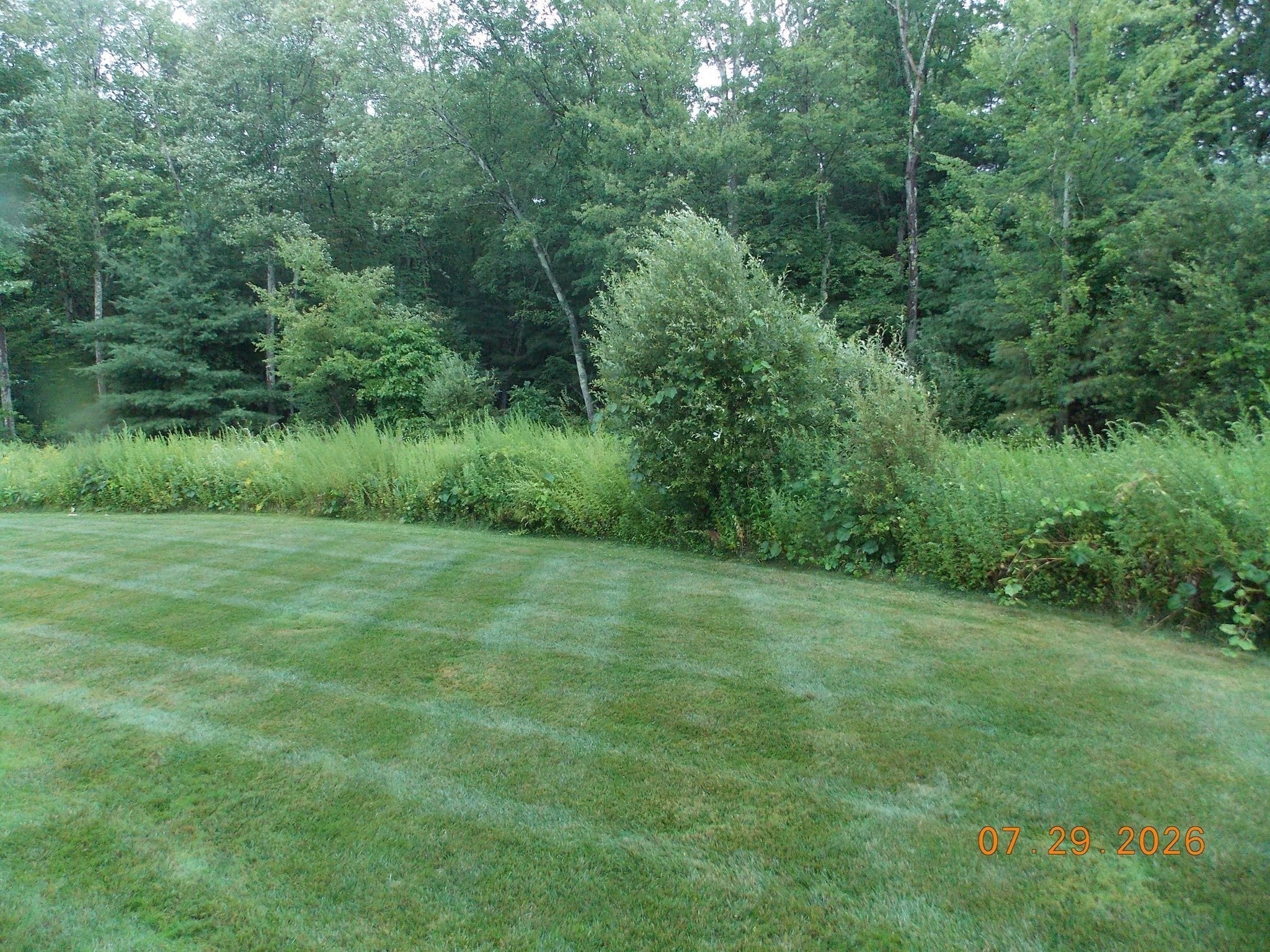 1 Paradise Ln #J3, Whitman, MA, 1 Paradise Ln #J3, Whitman, MA Photo #14