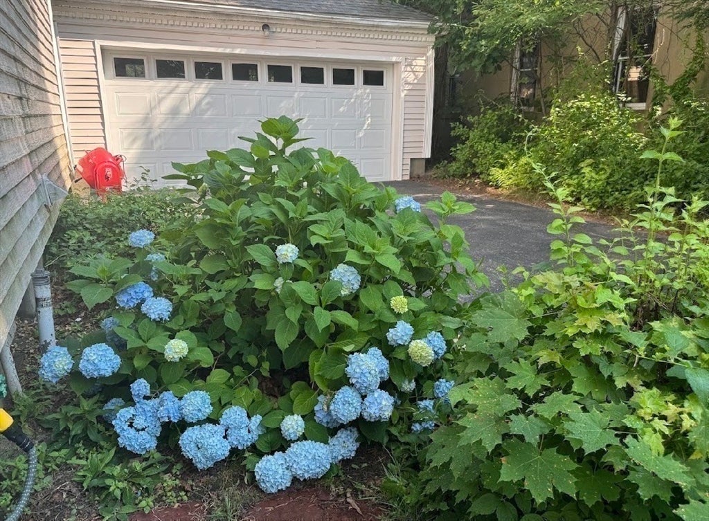 22 Bluff Ave, Fitchburg, MA Photo #8