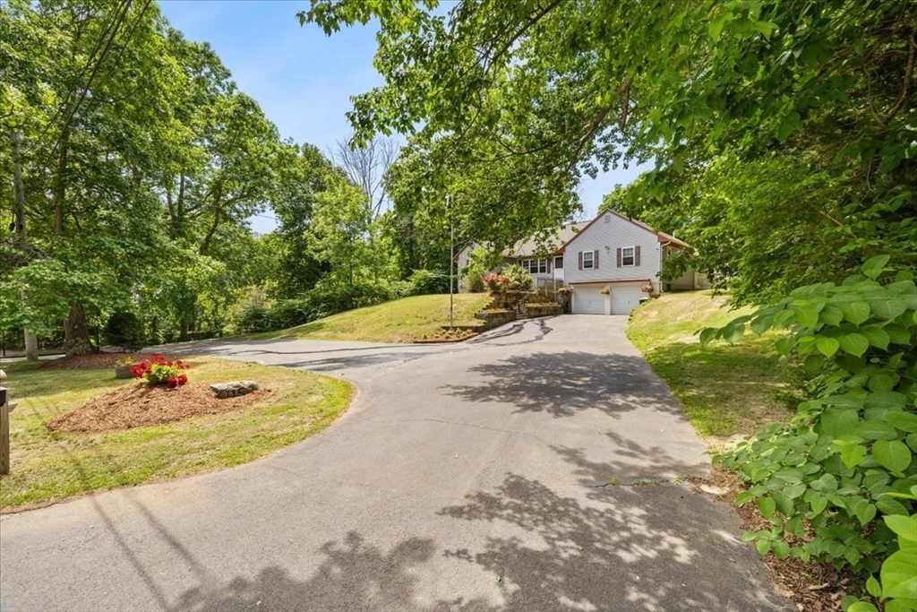 115 Springhill Ave