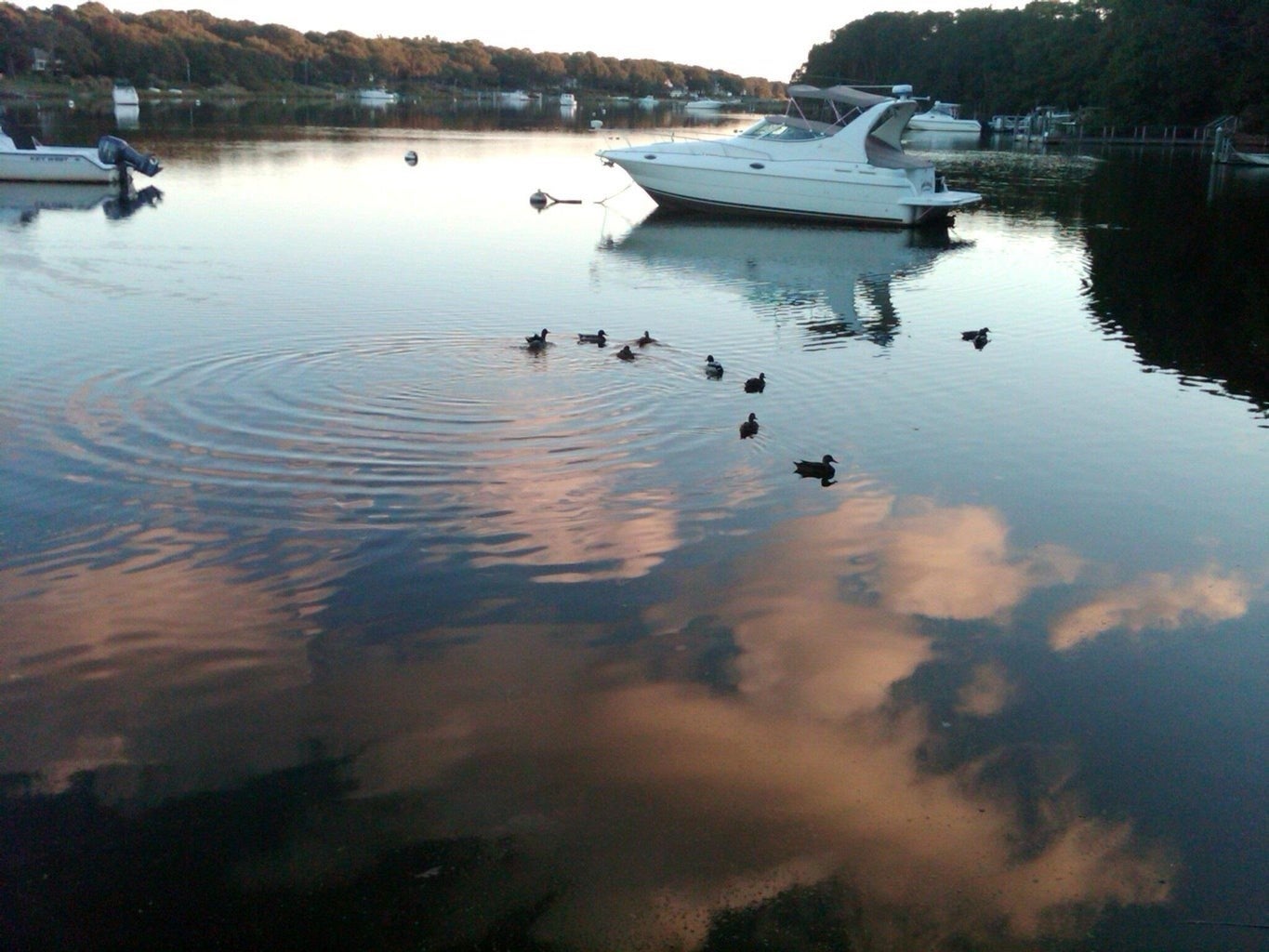 66 Woodland Trail, Falmouth, MA, 66 Woodland Trail, Falmouth, MA Photo #3