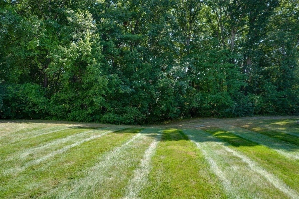 20 Walden Drive #15, Natick, MA, 20 Walden Drive #15, Natick, MA Photo #18