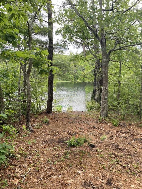 320 Little Sandy Pond Rd