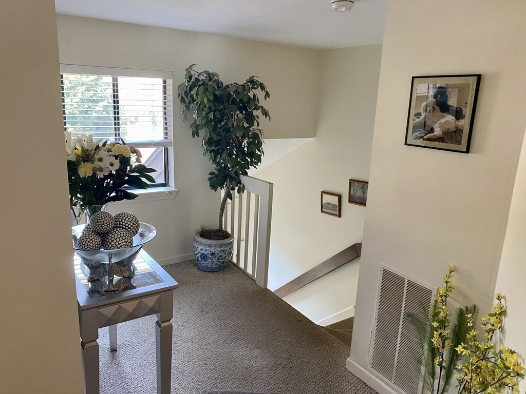 215 Trailside Way 215