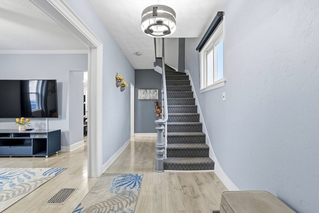 30 Woodlawn St