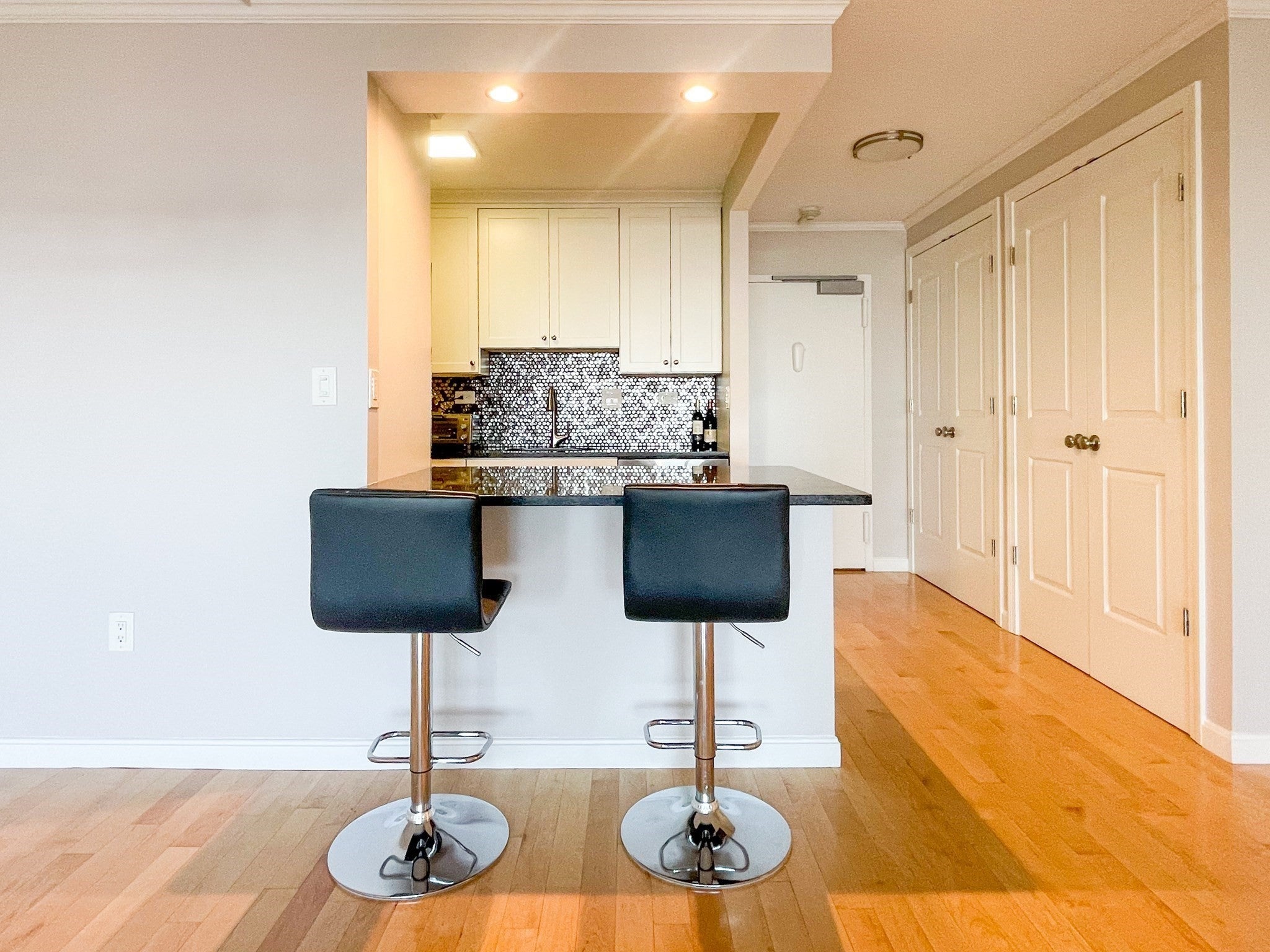 9 Hawthorne Place #11J, Boston, MA, 9 Hawthorne Place #11J, Boston, MA Photo #6